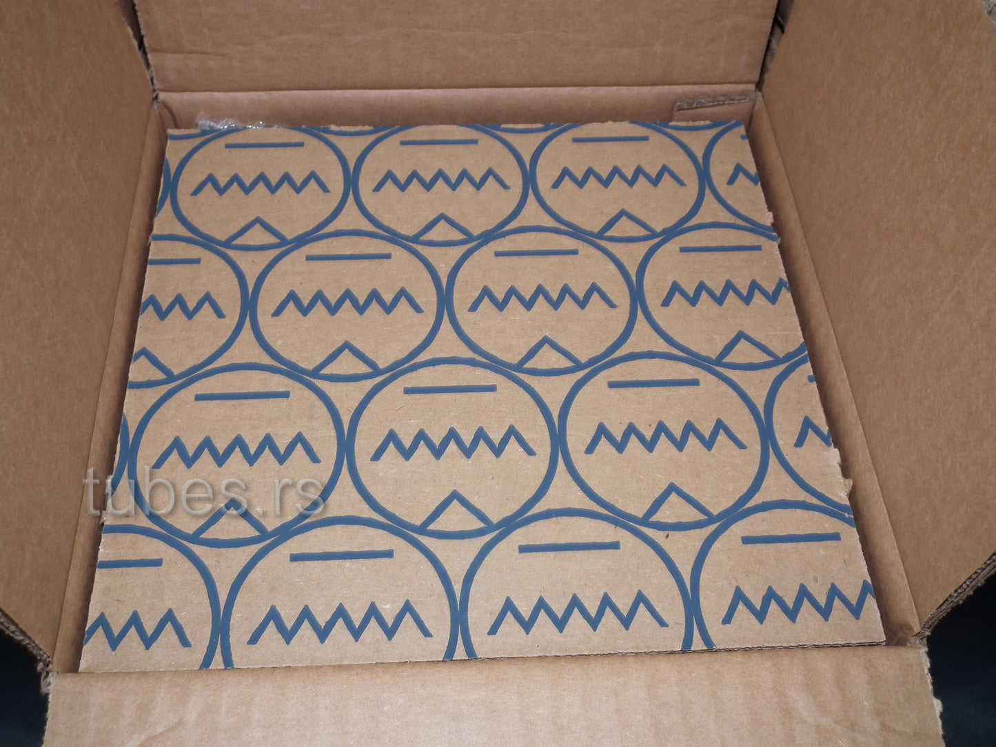 Western Electric 300B Matched Pair