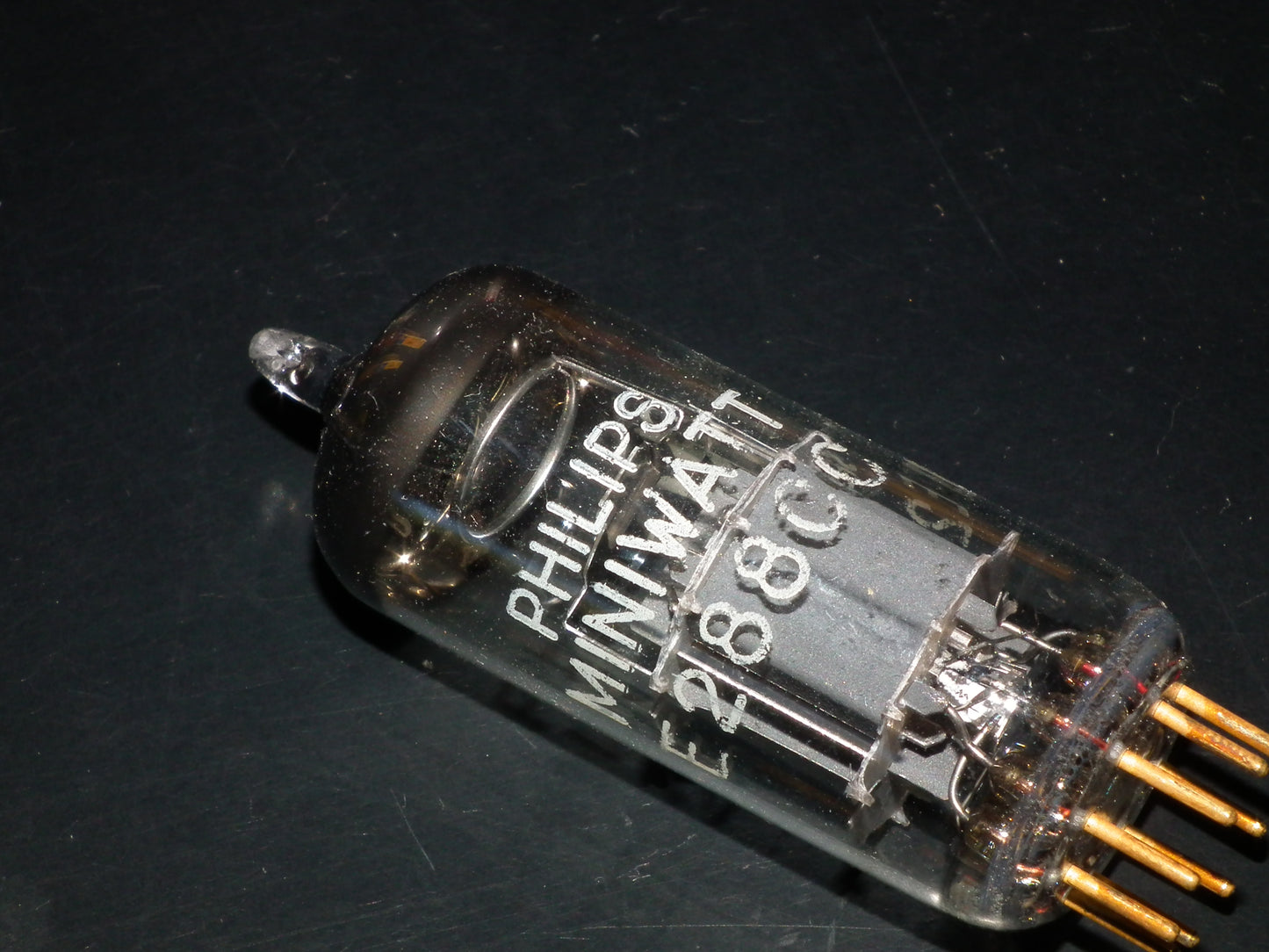 E288CC Siemens Philips 8223 NOS Munich Tube Plant Single