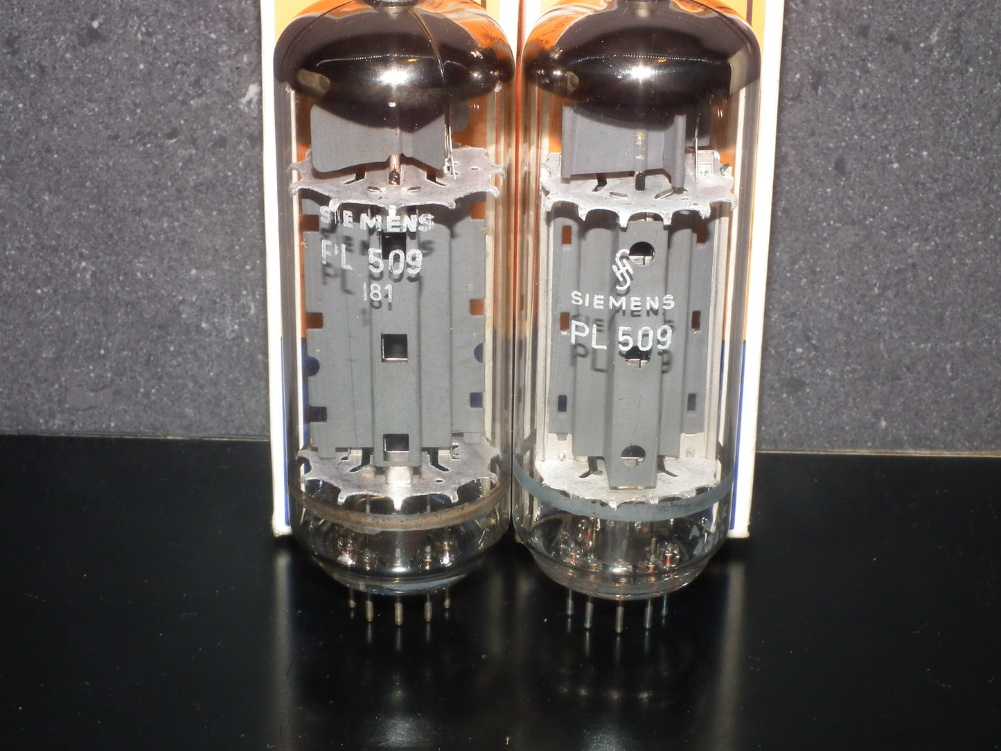 PL509 Siemens West Germany 40KG6 NOS NIB One tube (1 pcs)
