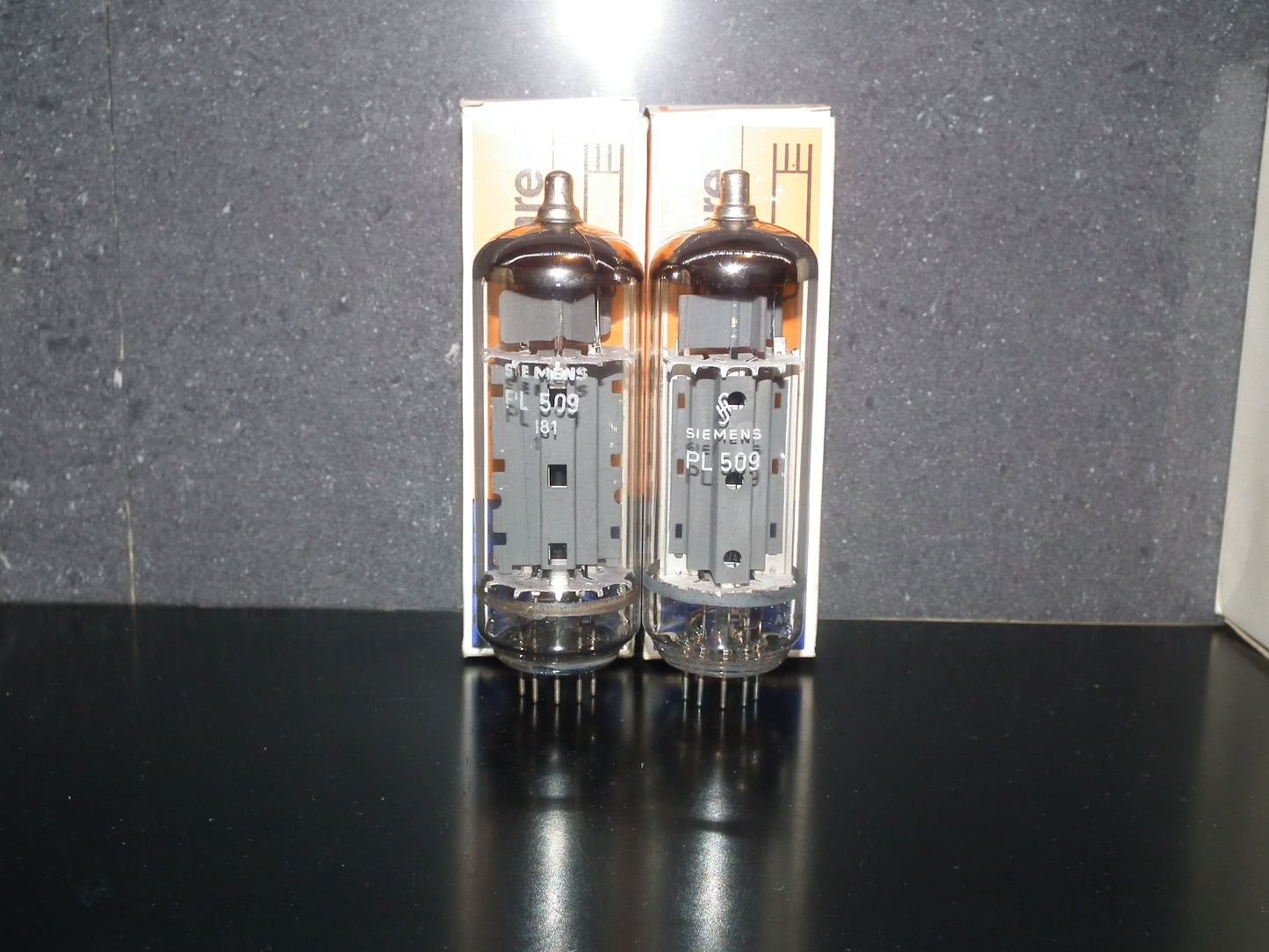 PL509 Siemens West Germany 40KG6 NOS NIB One tube (1 pcs)