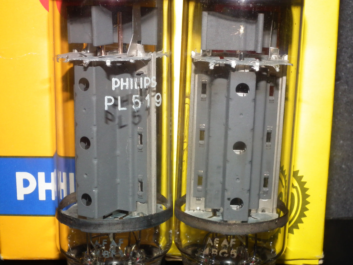 PL519 Philips Heerlen 40KG6 PLATINUM Matched PAIR EAR859 EAR861 Tested 200mA