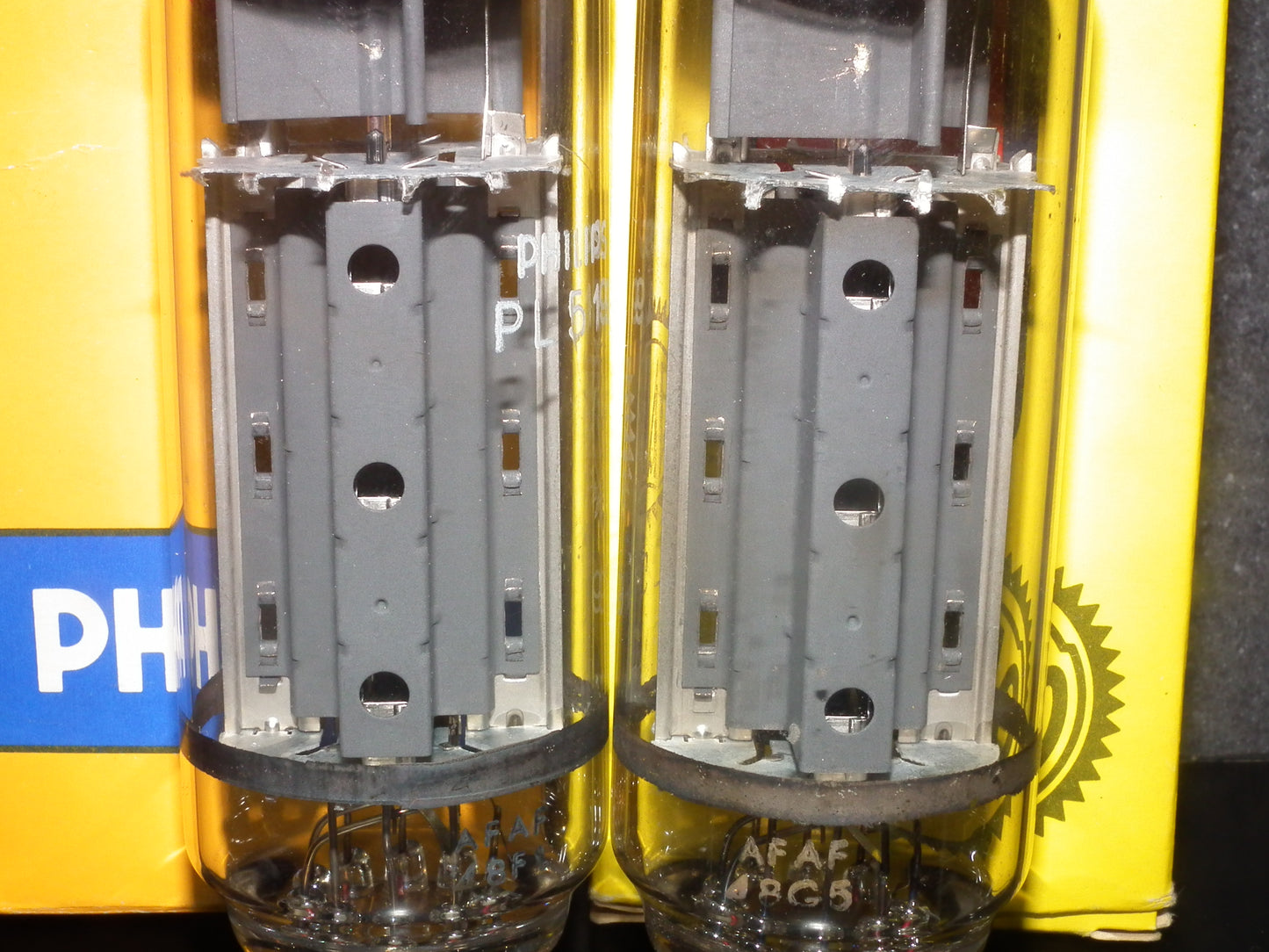 PL519 Philips Heerlen 40KG6 PLATINUM Matched PAIR EAR859 EAR861 Tested 200mA