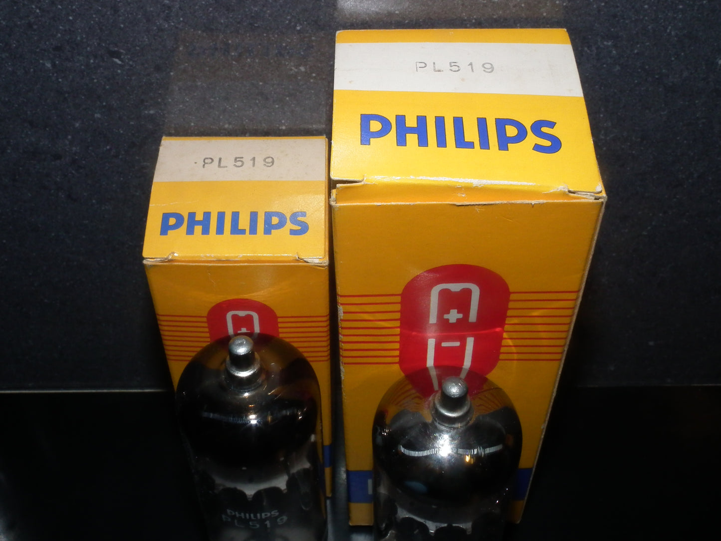 PL519 Philips 40KG6 NOS NIB (1 pcs)