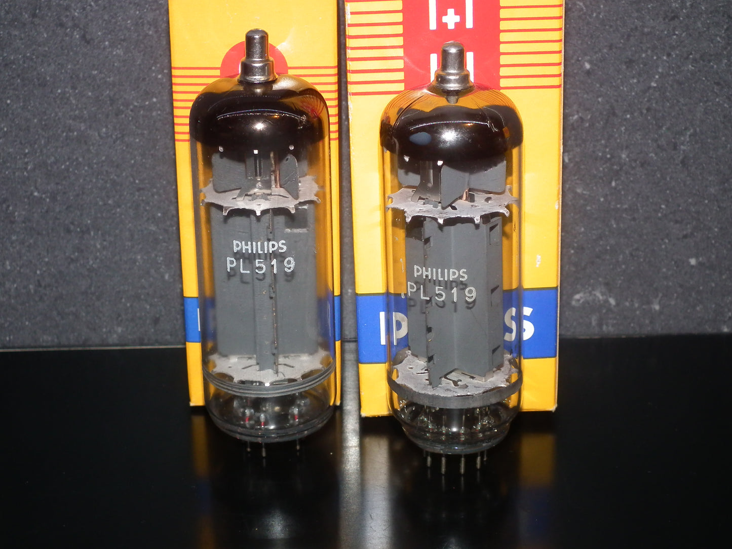 PL519 Philips 40KG6 NOS NIB (1 pcs)