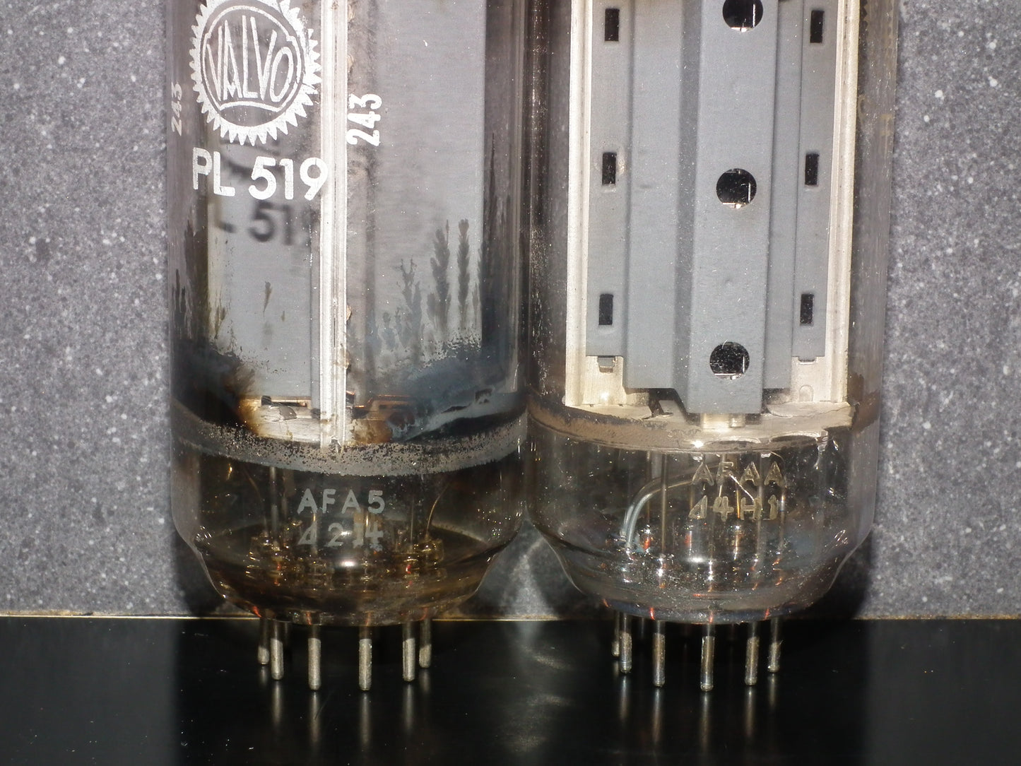 PL519 Valvo Heerlen 40KG6 PLATINUM Matched PAIR EAR Used
