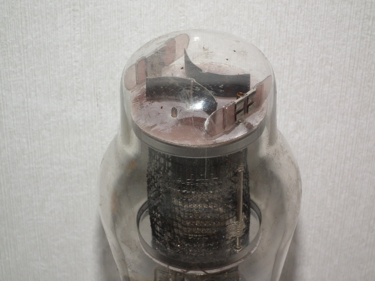 RENS1374d Telefunken Black Mash Anode