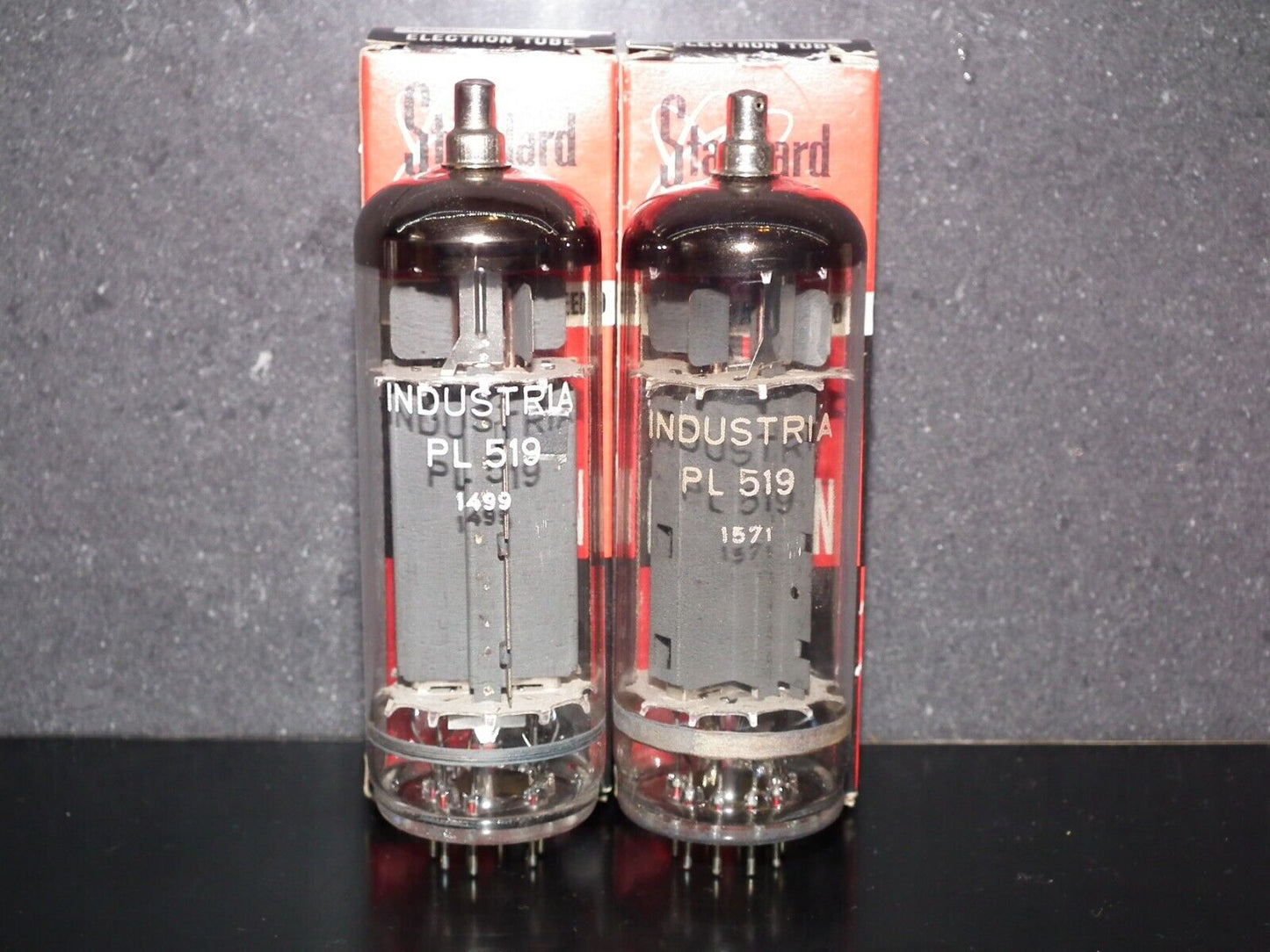 PL519 Standard Germany Brand 40KG6 NOS NIB Platinum Matched Pair EAR859 EAR861