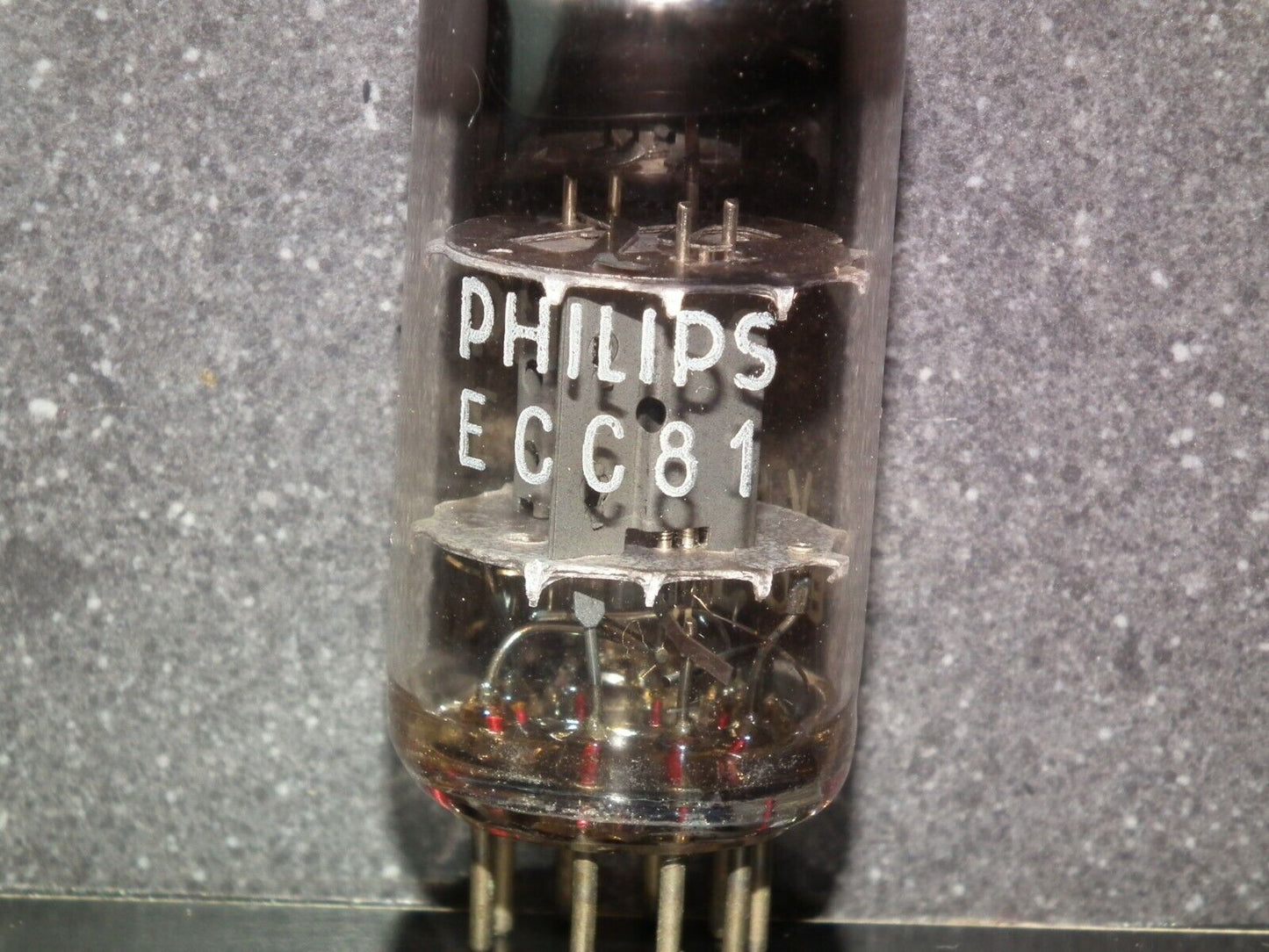 One ECC81 12AT7 Mullard Blackburn rebranded Philips (Used)