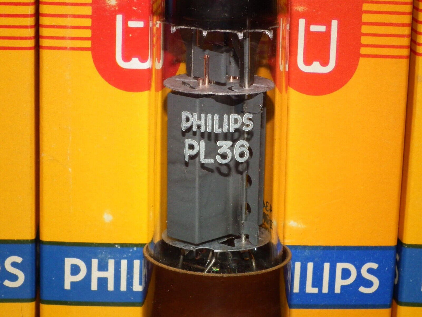 Two (2 pcs) PL36 Philips Siemens NOS NIB RARE Early Version Brown Base