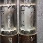 EL34 Telefunken OO Getter Brown Base Matched Pair Ulm West Germany
