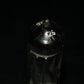 EZ81 Mullard 6CA4 NOS NIB Blackburn D Getter Rebranded Valvo