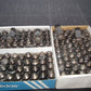 PL519 Valvo Siemens EI Philips Yugoslavia 40KG6 Used Tested ONE TUBE