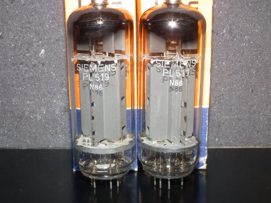 PL519 Siemens West Germany 40KG6 PLATINUM Matched PAIR Dual Mica