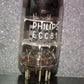One ECC81 12AT7 Mullard Blackburn rebranded Philips (Used)