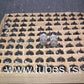 ECF80 Philips Miniwatt ECF80 6BL8 ECF-80 ECF 80 NOS