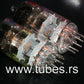 Platinum matched pair PC86 Tungsram 4CM4 NOS NIB