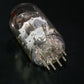 PCC88 Miniwatt Dario 7DJ8 DUAL STAGE GETTER NOS NIB Yellow Logo
