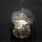 Amperite MX408U NOS NIB Automatic Regulator Ballast Tube MX408/U