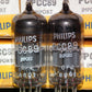 PCC89 7FC7 Philips Matched Pair NOS NIB Mullard Blackburn production 1970