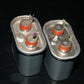 Two (2 pcs) RARE PIO Capacitors 0.25mfd 1500V 0.5u Sprague