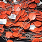 Two NOS Sprague Disc Ceramic Capacitors 33pF 1KV - 0.000033uF 1000V