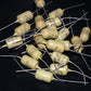 Two vintage Mullard Mustard Capacitors 0.047mfd / 400V (47nF) Marshall,Fender