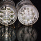 ECC40 Siemens & Halske NOS Matched Pair Rimlock Audio Double Triode