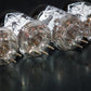 Platinum Matched Quad Telefunken 5654 6AK5 EF95 NOS NIB Ulm Diamond Bottom DB