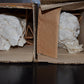 DCG5/5000GB Philips Matched Pair NOS Mercury Rectifier Valves