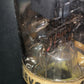 AZ1 TELEVOX, USED tested NOS STRONG 120mA, no cracks, strong base