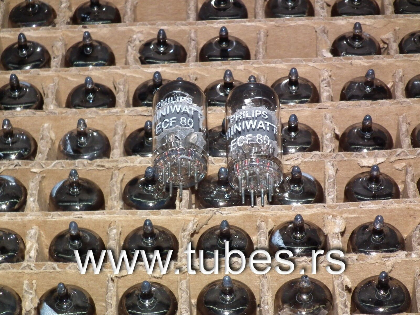 ECF80 Philips Miniwatt ECF80 6BL8 ECF-80 ECF 80 NOS