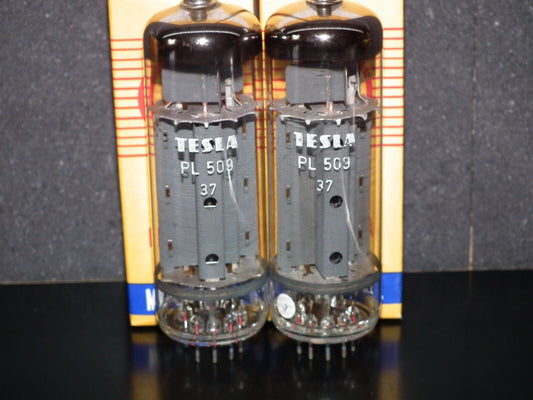 PL509 Tesla 40KG6  NOS Platinum Matched Pair EAR859 EAR861 RARE SPOT ANODES